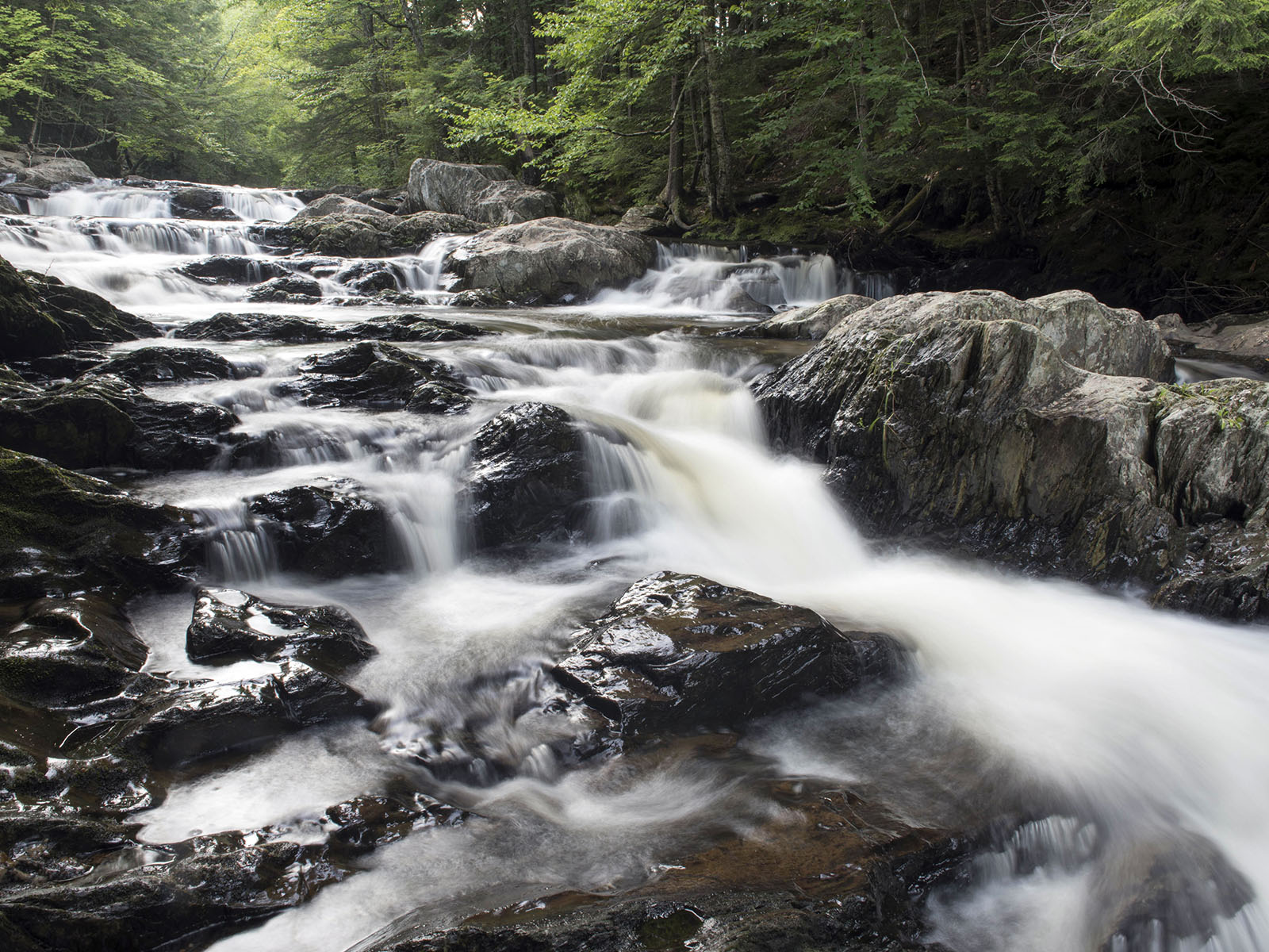 Vermont Land Trust VEDA